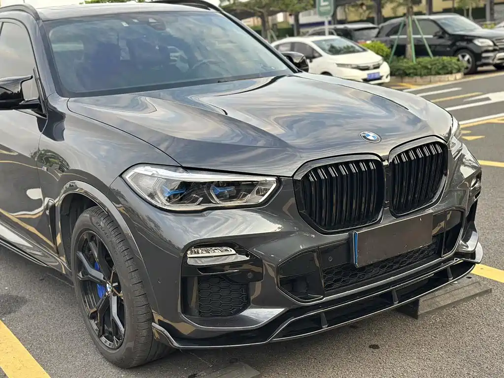 BMW X5 (Import) — миниатюра 8