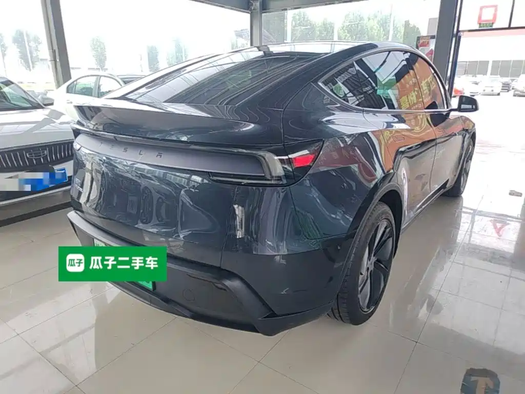 Tesla Model Y — миниатюра 7