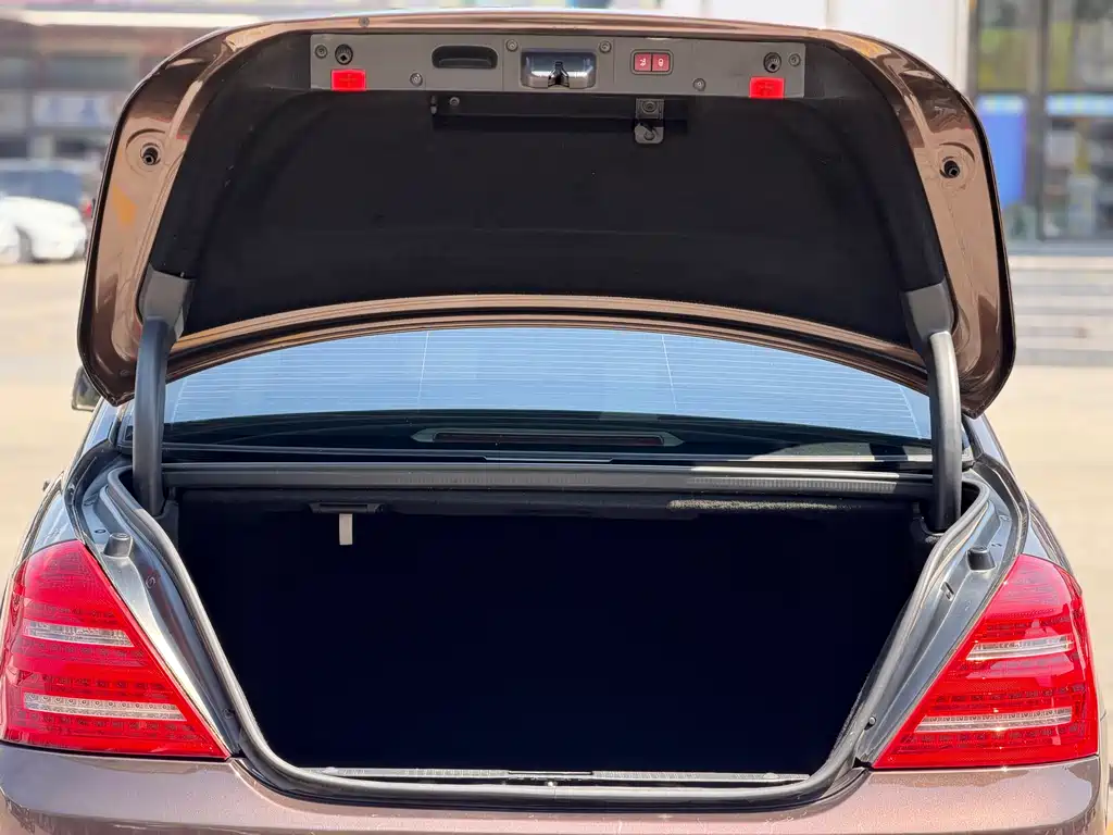 Mercedes-Benz S-Class S 2010 S 300 L Luxury