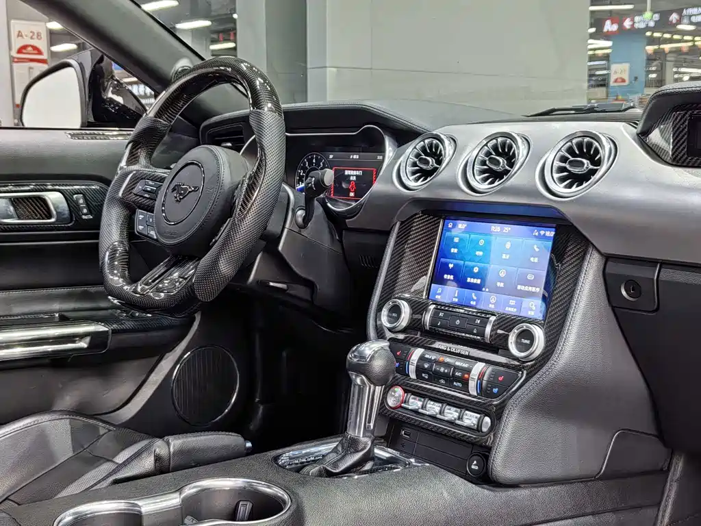 Ford Mustang — миниатюра 17