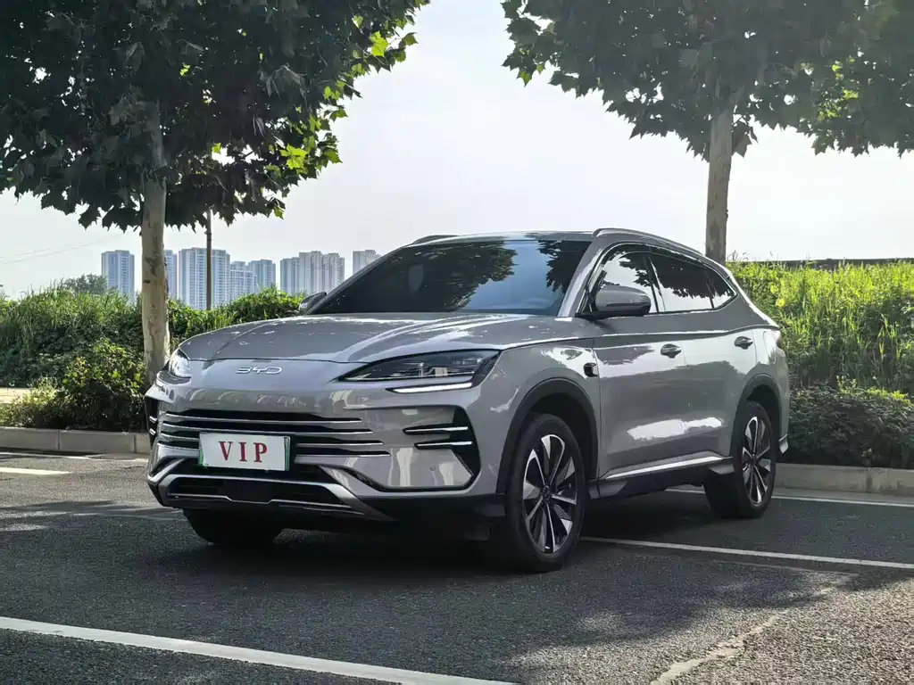 BYD PLUS New Energy 2025