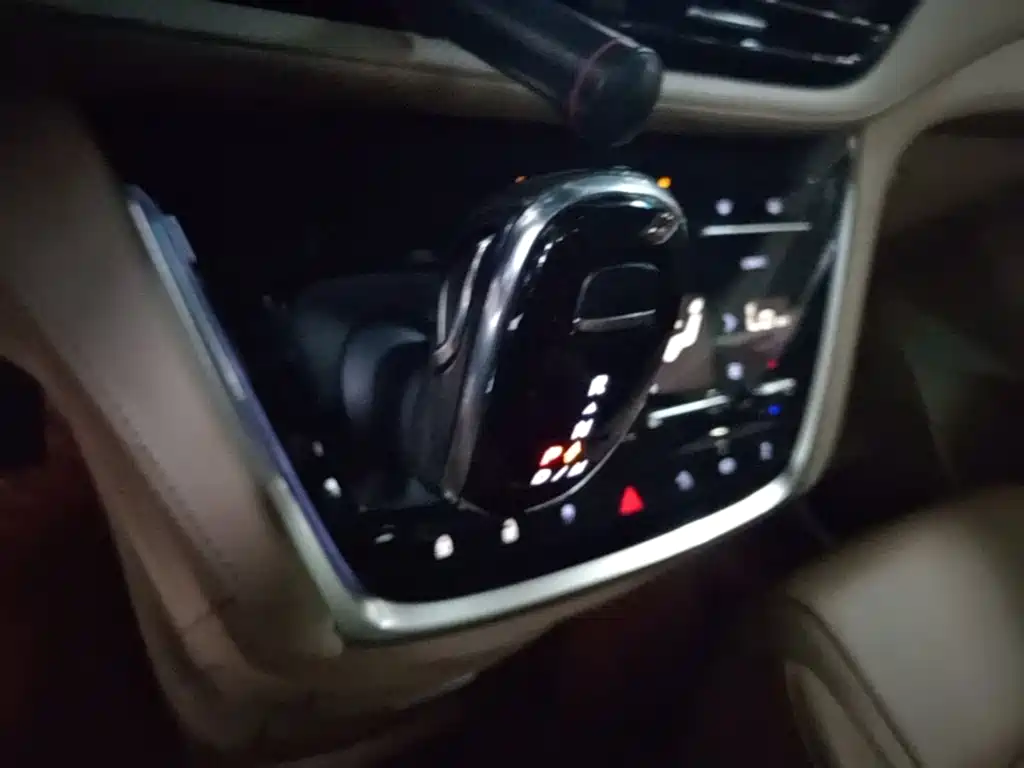 Buick GL8 — миниатюра 14