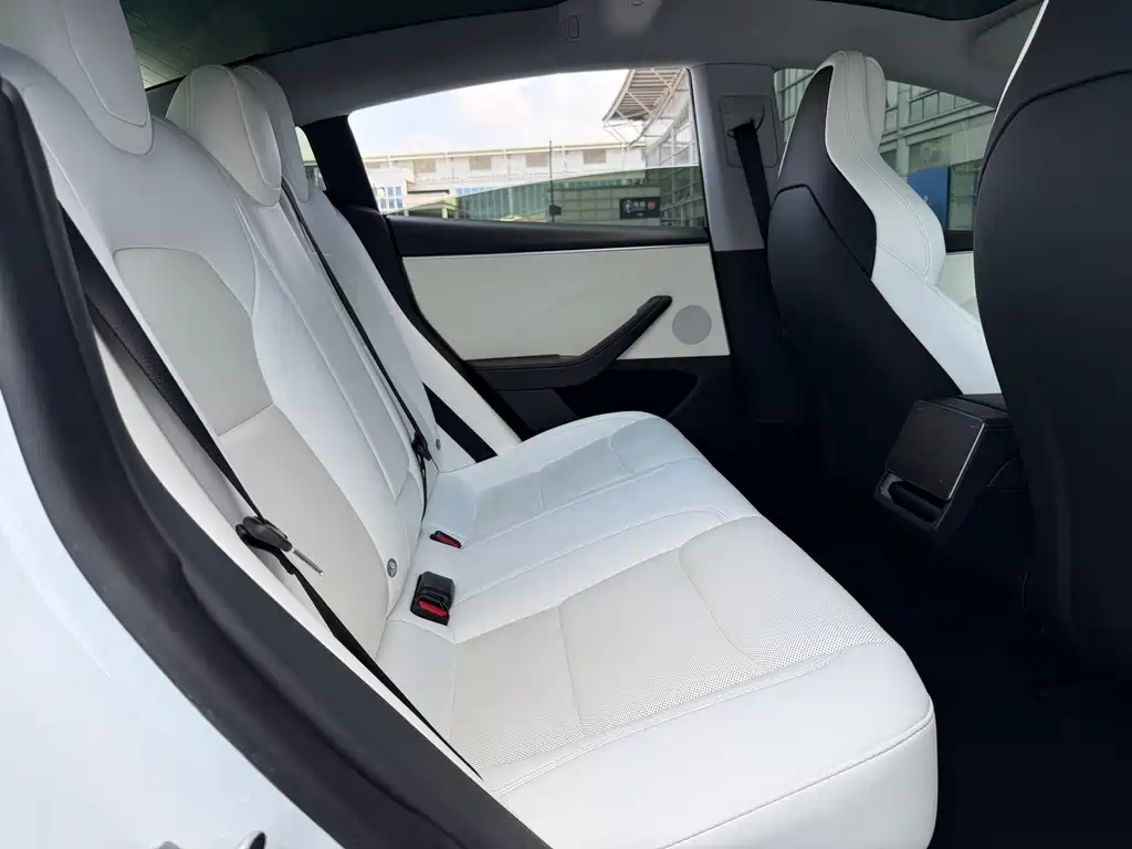 Tesla Model 3 — миниатюра 16