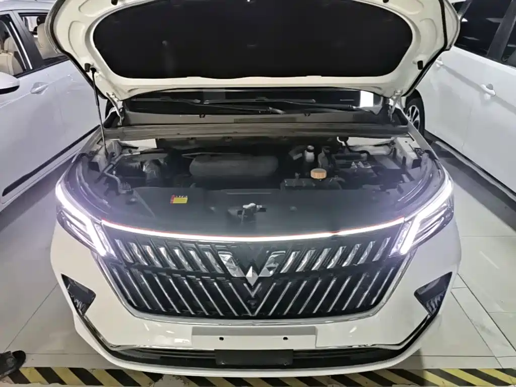 Wuling Jiachen — миниатюра 20