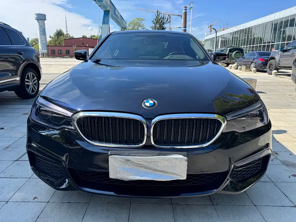 BMW 5 Series (Import) — миниатюра 2