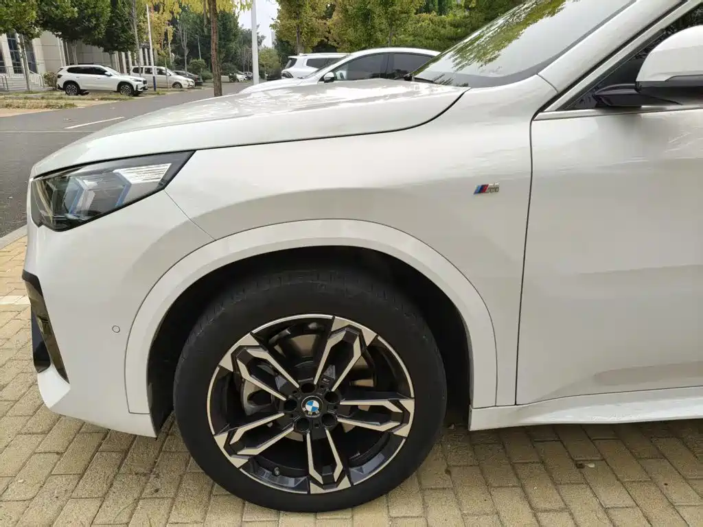 BMW X2 (Import) — миниатюра 4