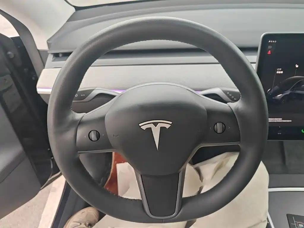 Tesla Model Y — миниатюра 11