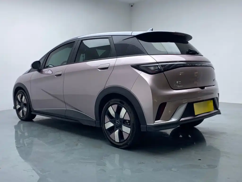 BYD Dolphin — миниатюра 4