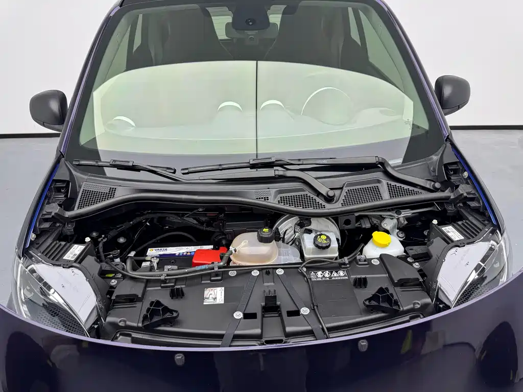smart Smart Fortwo — миниатюра 11