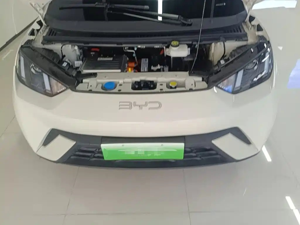 BYD Seagull — миниатюра 20