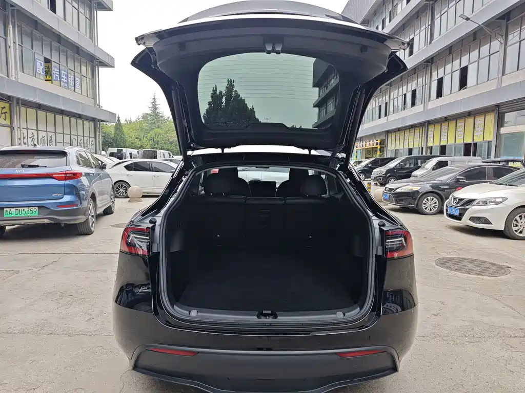 Tesla Model Y — миниатюра 13
