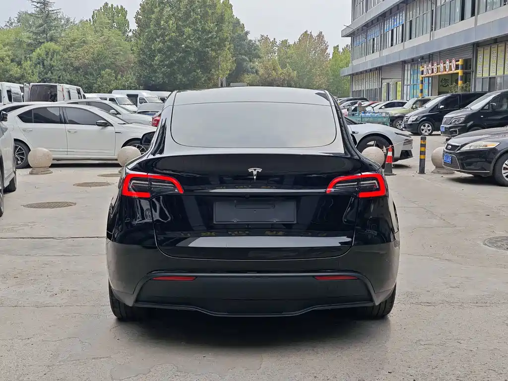 Tesla Model Y — миниатюра 5