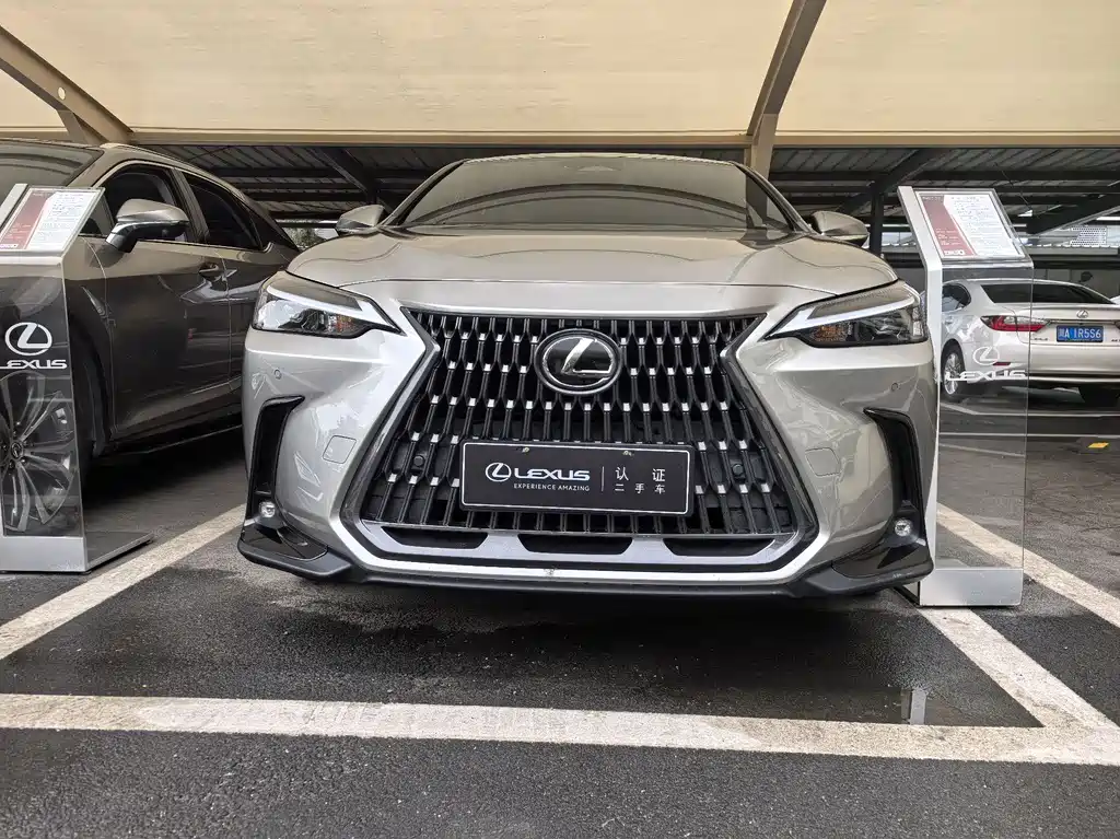 LEXUS NX NEW ENERGY