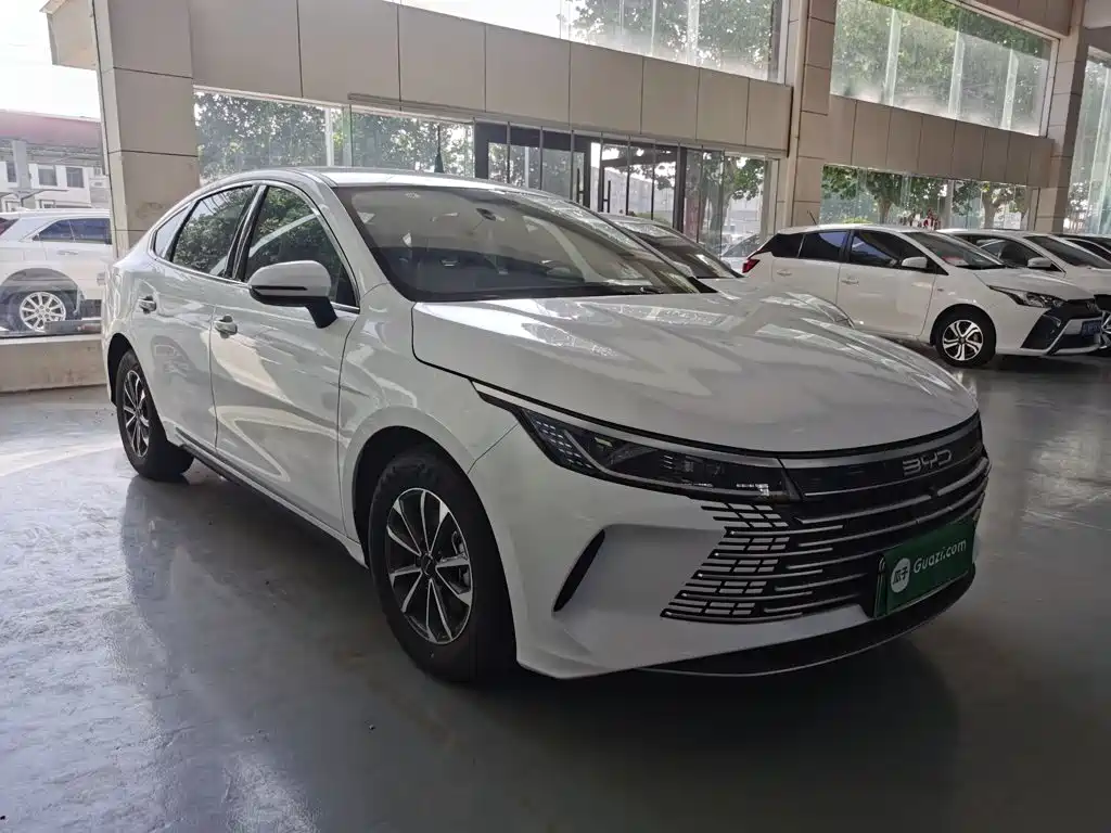 BYD Destroyer 05 — фотографии объявления, Фото 5