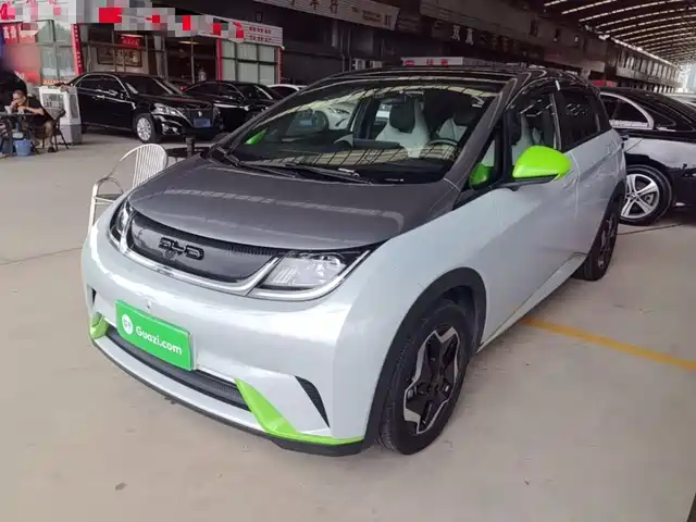 2023 BYD Dolphin