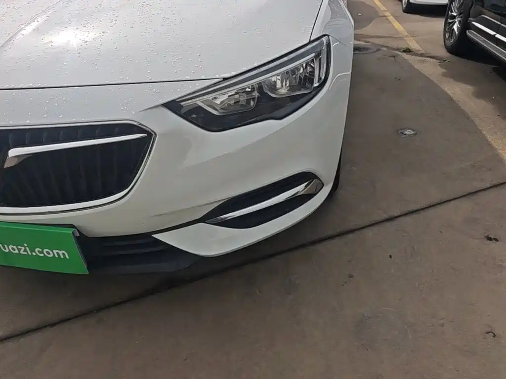 Buick Regal — миниатюра 24
