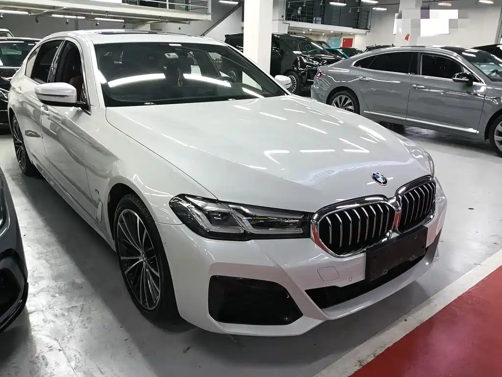 BMW 5 Series — миниатюра 3