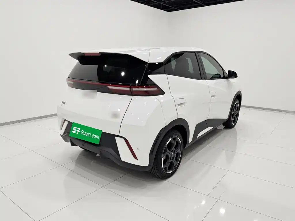 BYD Seagull — миниатюра 6