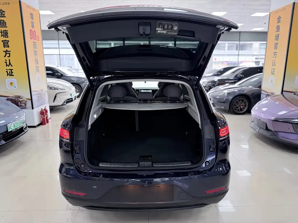 Leapmotor C11 2021 Luxury