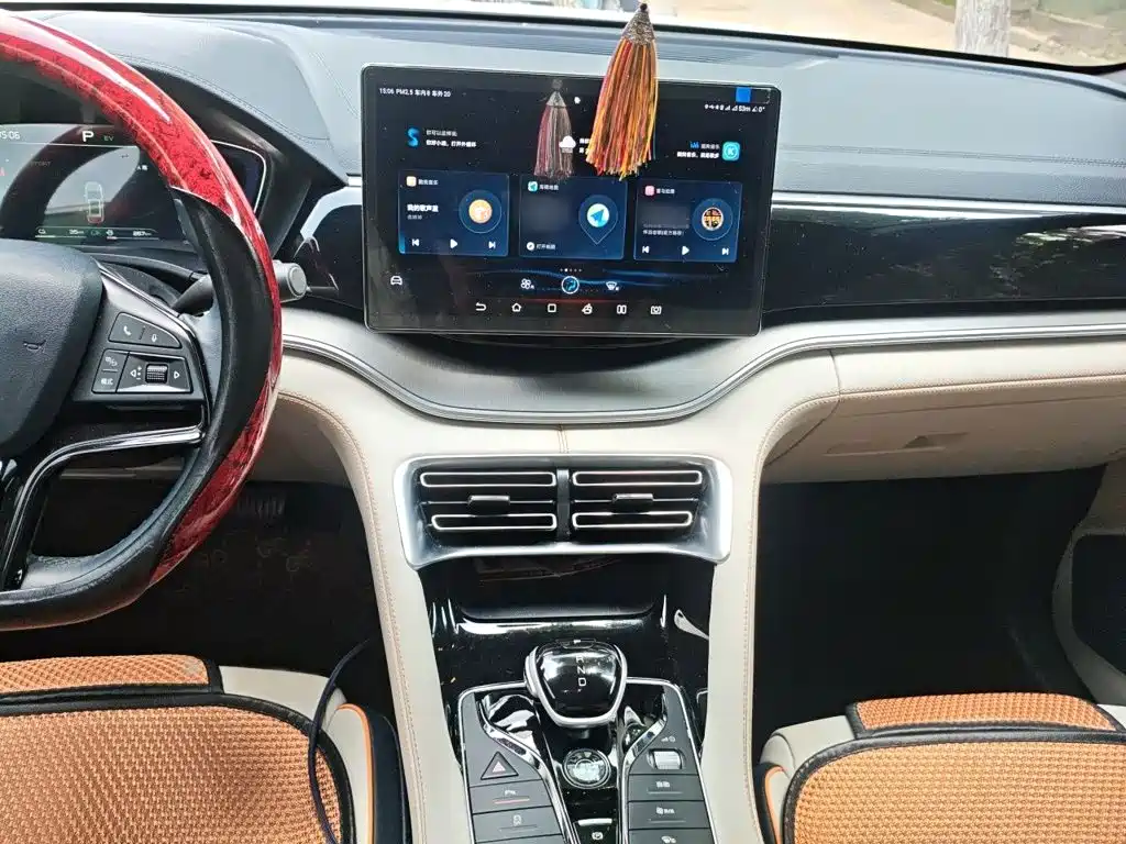 BYD PLUS New Energy — миниатюра 6