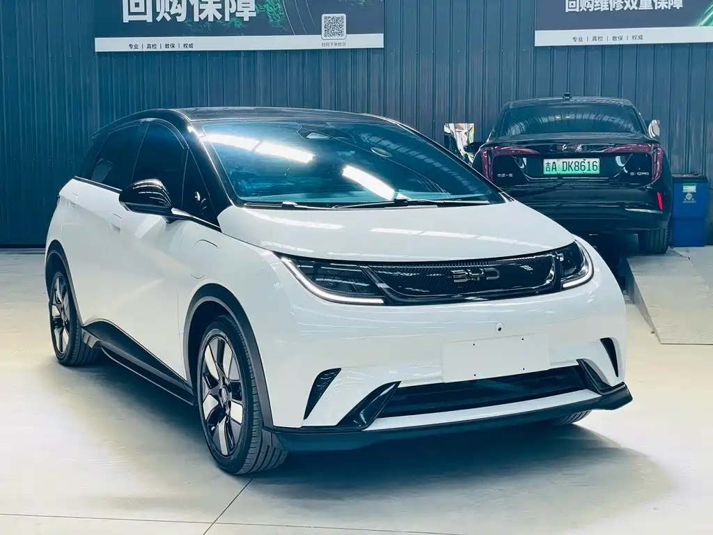BYD Dolphin — миниатюра 3