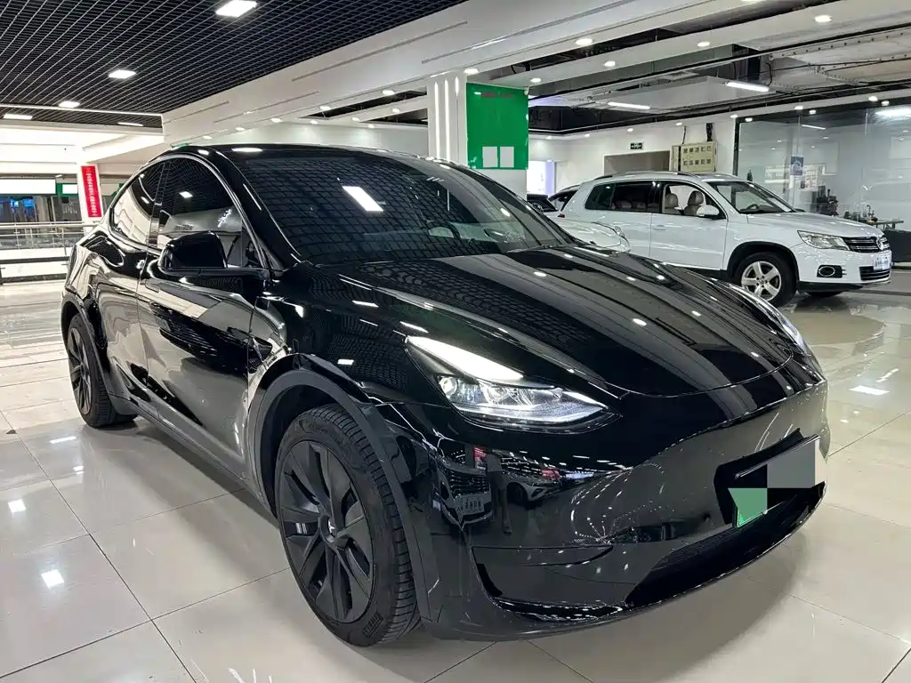 Tesla Model Y — миниатюра 5