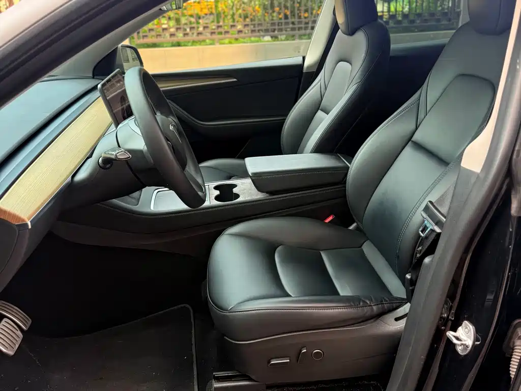 Tesla Model Y — миниатюра 6