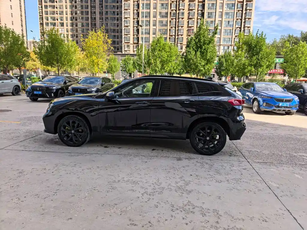 Wey Wey VV7 — миниатюра 11