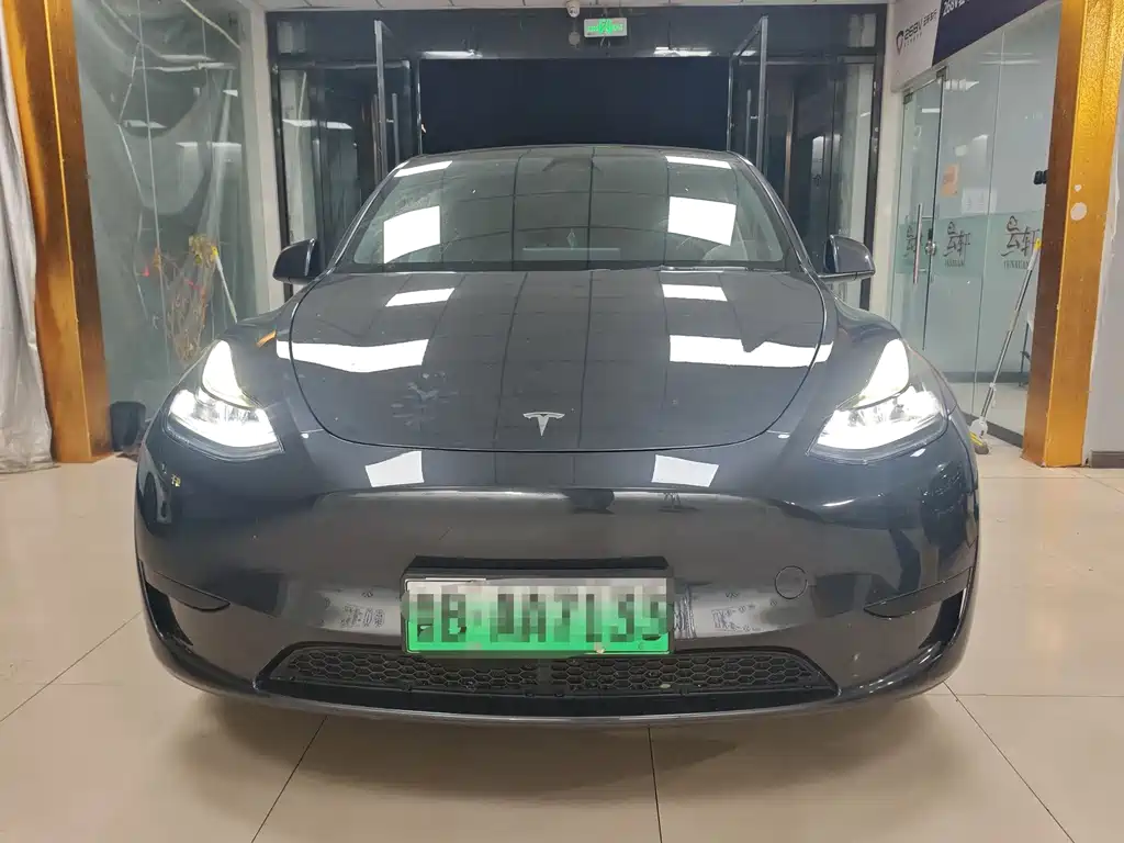 Tesla Model Y — миниатюра 2
