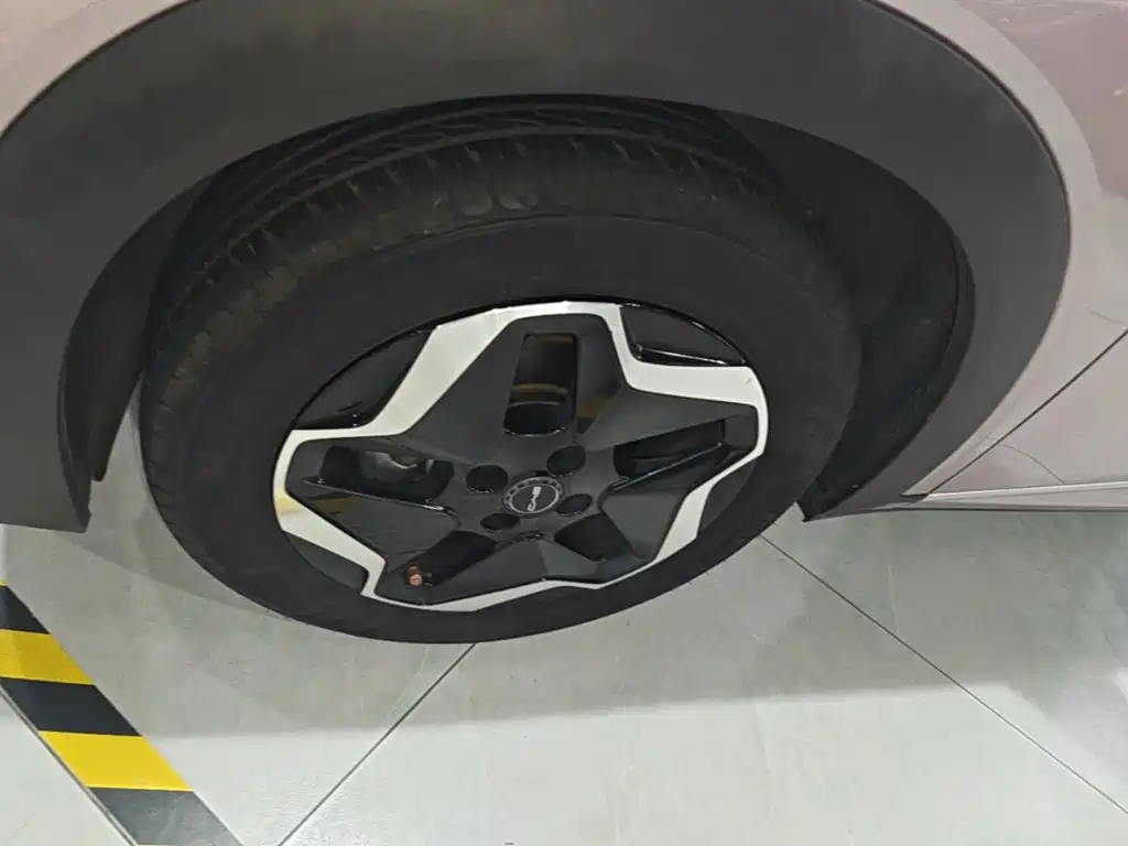BYD Dolphin — миниатюра 23