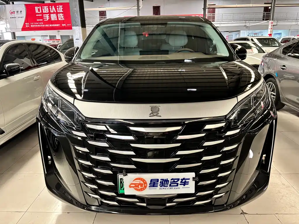 BYD Xia — миниатюра 2