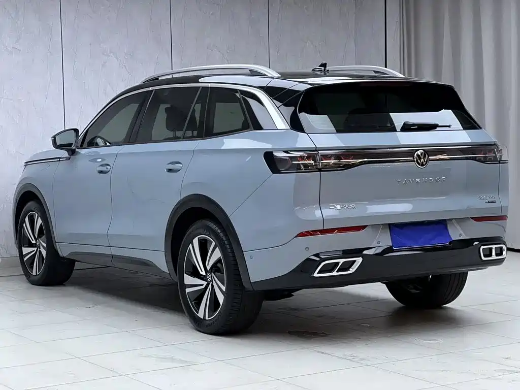 Volkswagen Tavendor — миниатюра 10