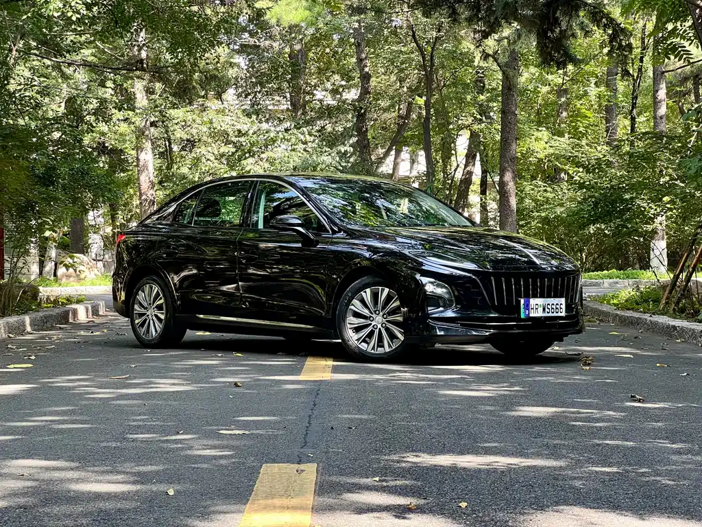 Hongqi Hongqi E-QM5 — миниатюра 8