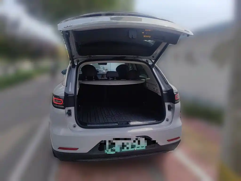 Leapmotor Leapmotor C11 — миниатюра 20