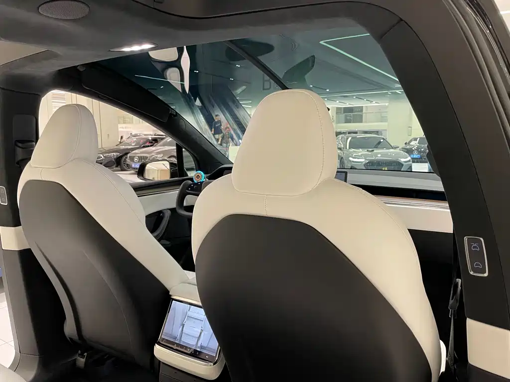 Tesla Model X — миниатюра 19