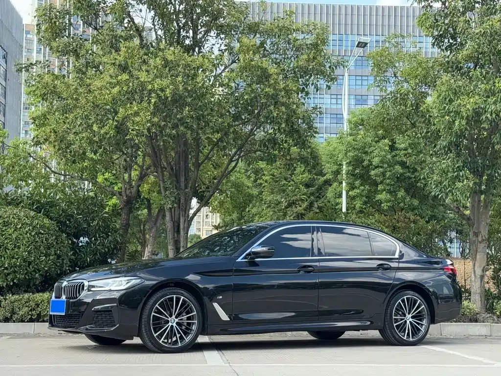 BMW 5 Series — миниатюра 12