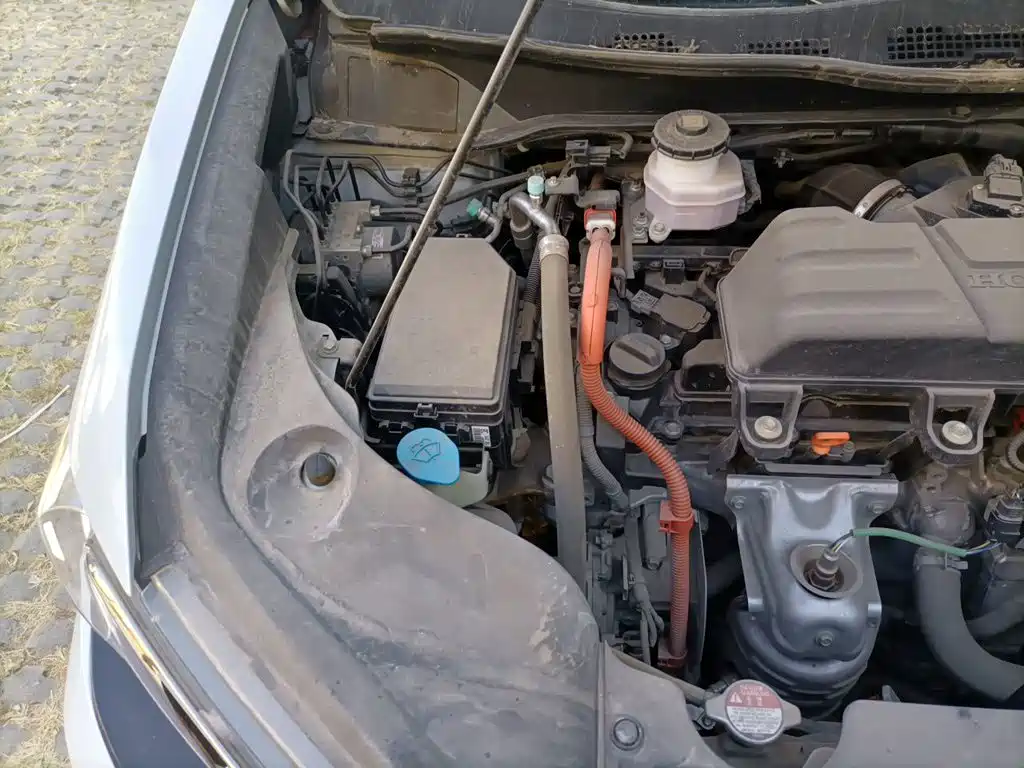 Honda Elysion — миниатюра 20