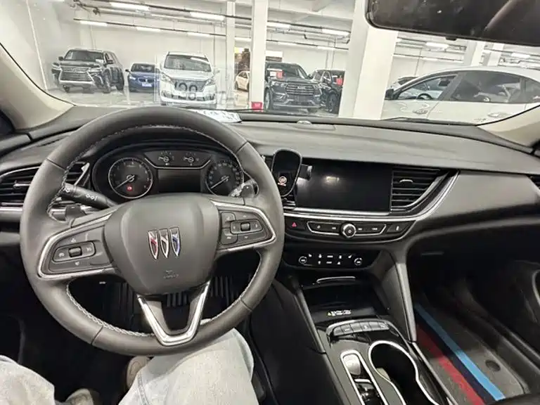 Buick Regal — миниатюра 11