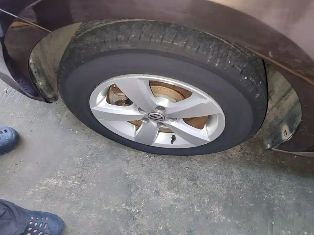 Volkswagen Gran Lavida — миниатюра 23