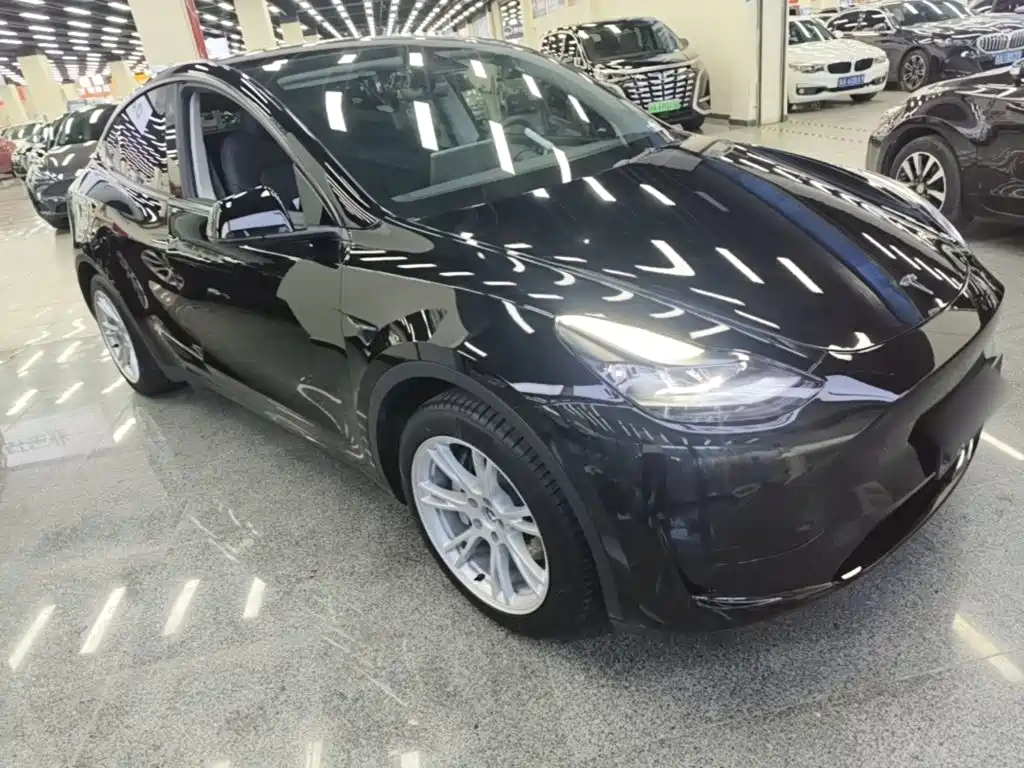 Tesla Model Y — миниатюра 4