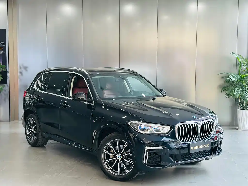 BMW X5 — миниатюра 3