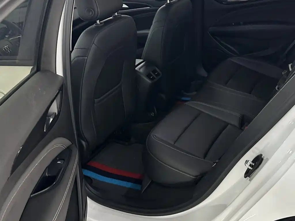 Buick Regal — миниатюра 15