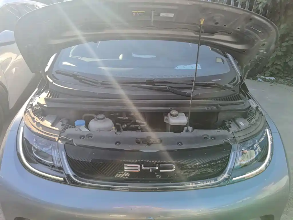 BYD Dolphin — миниатюра 20