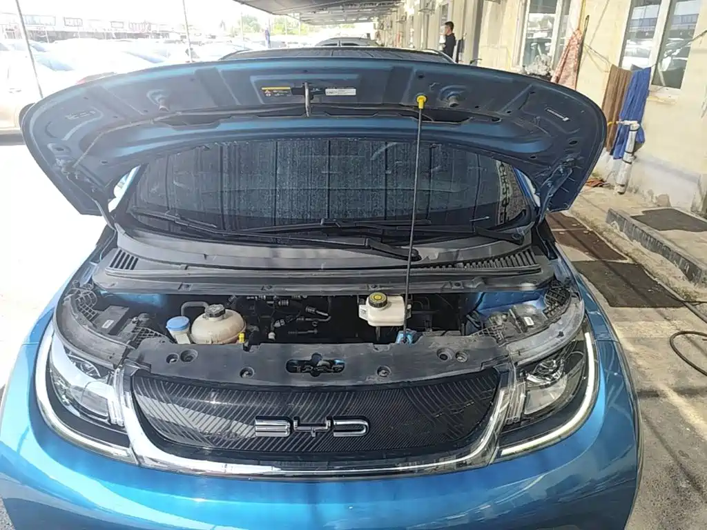 BYD Dolphin — миниатюра 20