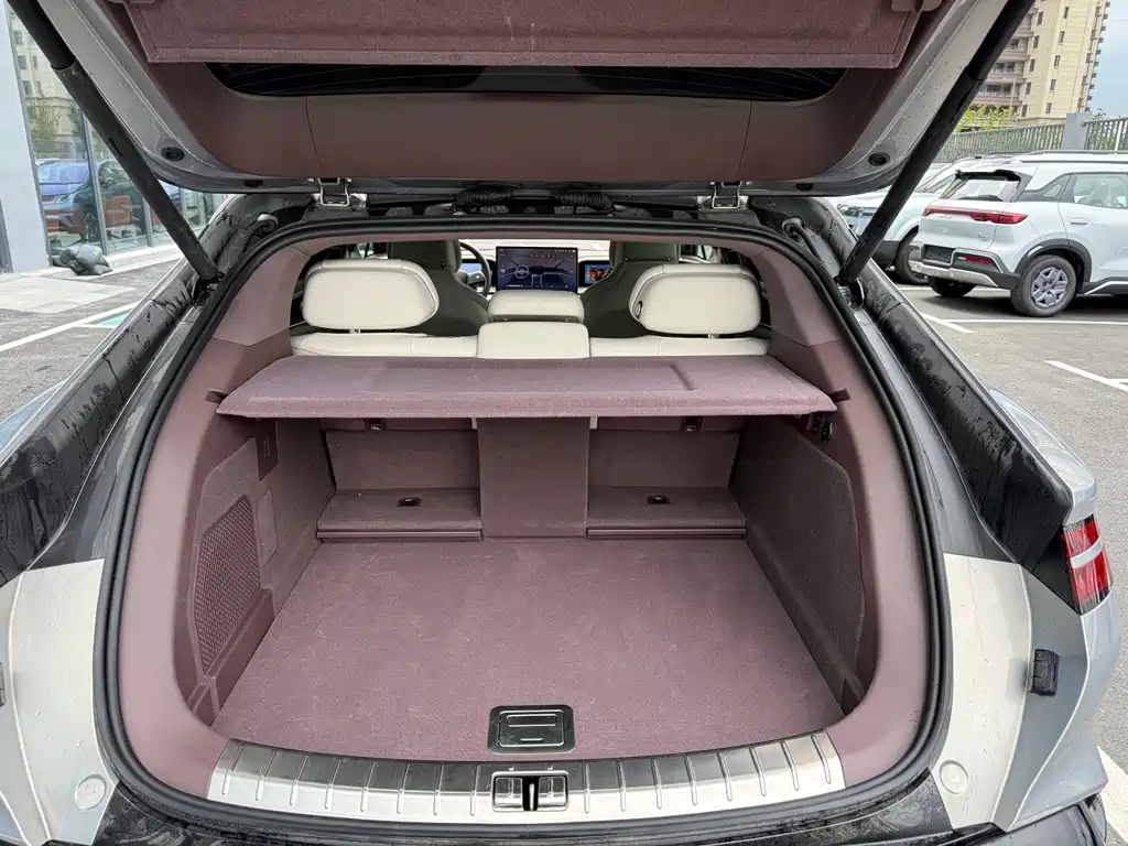 Denza Denza Z9GT — миниатюра 9