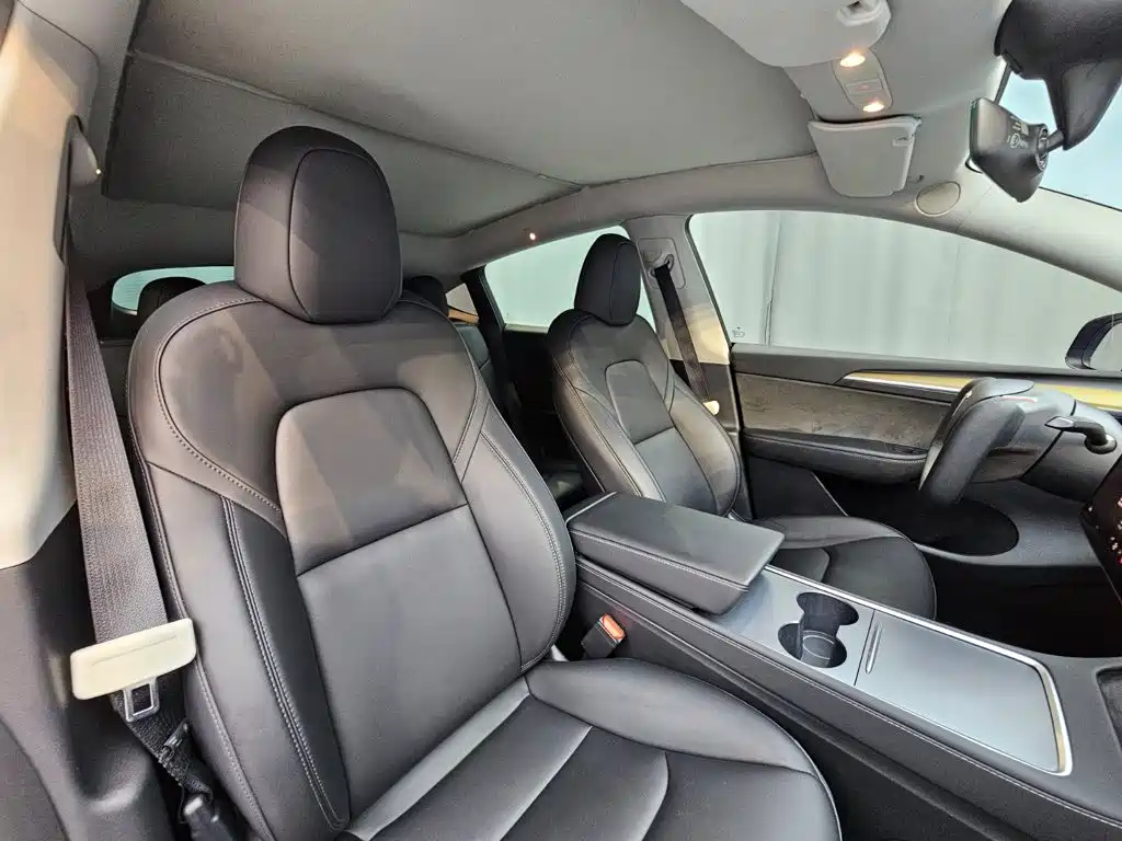 Tesla Model Y — миниатюра 15