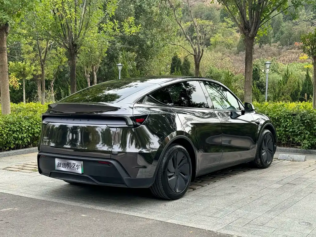 Tesla Model Y — миниатюра 10