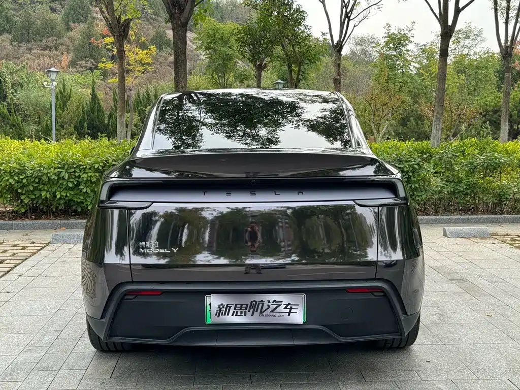 Tesla Model Y — миниатюра 11