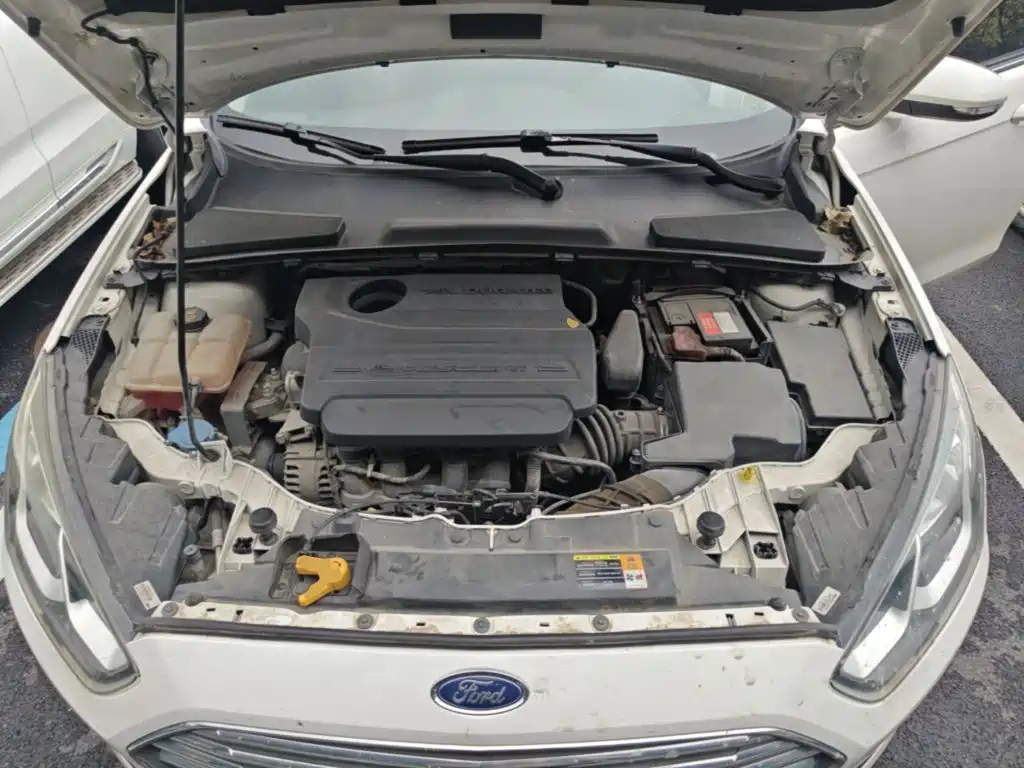 Ford Escort — миниатюра 25