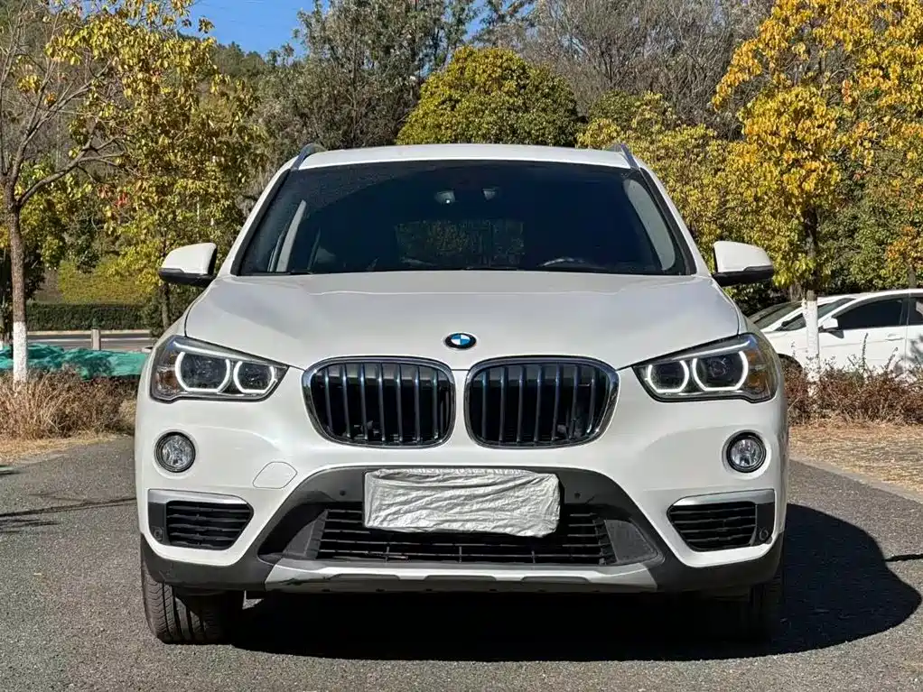 BMW X1 NEW ENERGY
